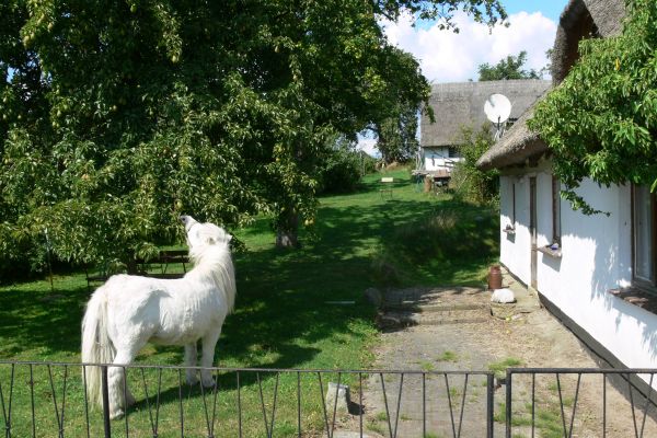 Landhotel Rügen (Samtens)